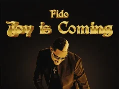 Fido – Joy is coming