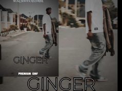 Premium Emf – Ginger