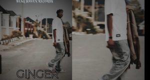 Premium Emf – Ginger