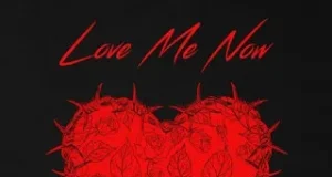 Mr Eazi – Love Me Now